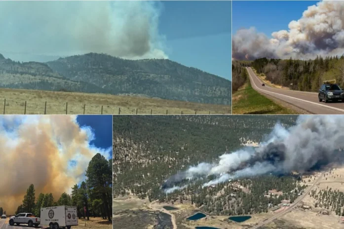 Out Of Control Wildfire Forces Mass Evacuations In Greer Out Of Control Wildfire Forces Mass Evacuations In Greer