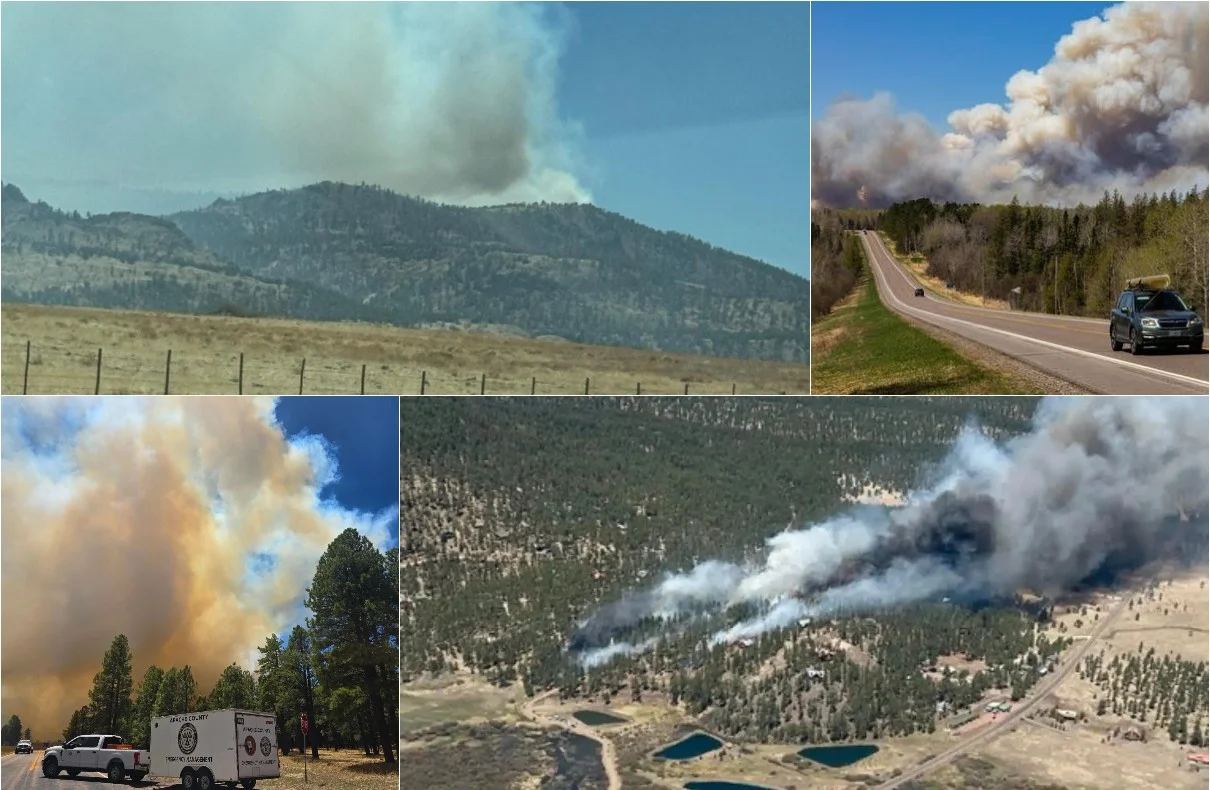 Out Of Control Wildfire Forces Mass Evacuations In Greer