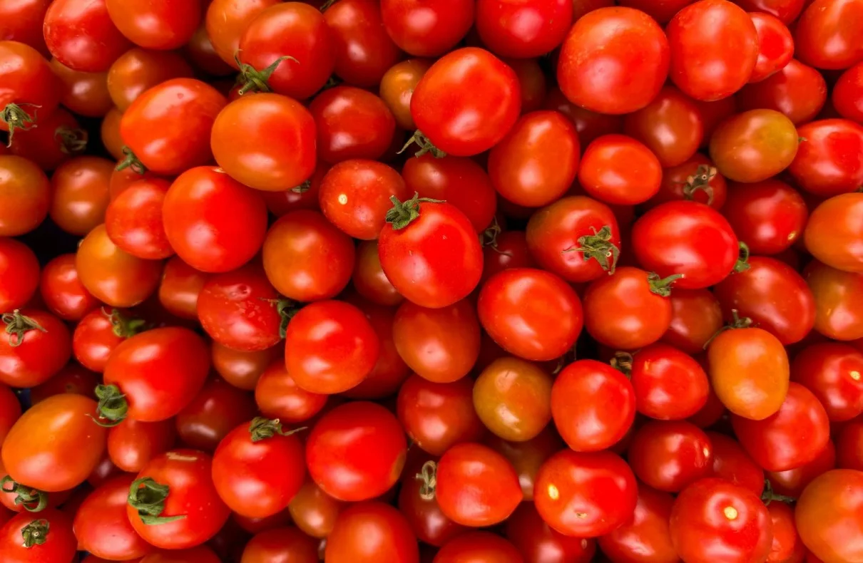 Southern States Affected By Tomato Recall Linked To Salmonella Concerns